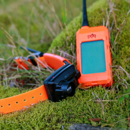 Sistema di Localizzazione Dogtrace DOG GPS X25B