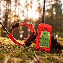 Sistema di Localizzazione Dogtrace DOG GPS X25-T