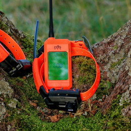 Sistema di Localizzazione Dogtrace DOG GPS X25-TB
