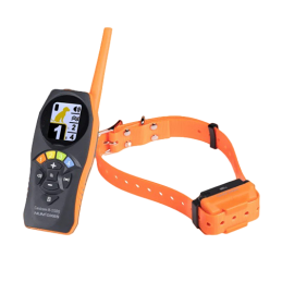 Collare educativo Canicom R-800