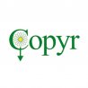 Copyr
